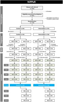 A nutritional supplement containing zinc during preconception and pregnancy increases human milk zinc concentrations